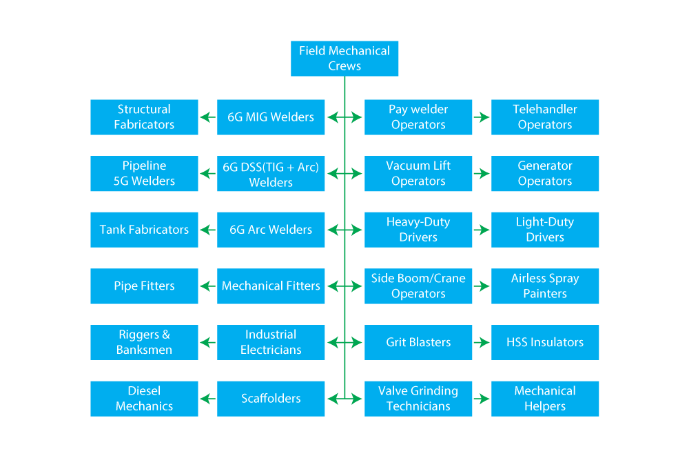 Organization-chart